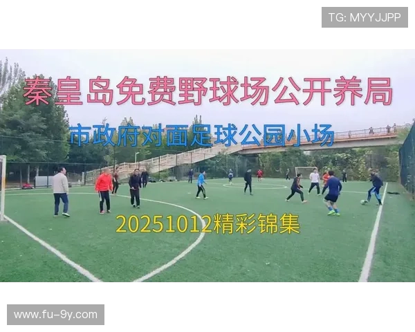 围绕足球野球场中喜欢炫耀自我的青年展开的趣味纪实故事全景描写